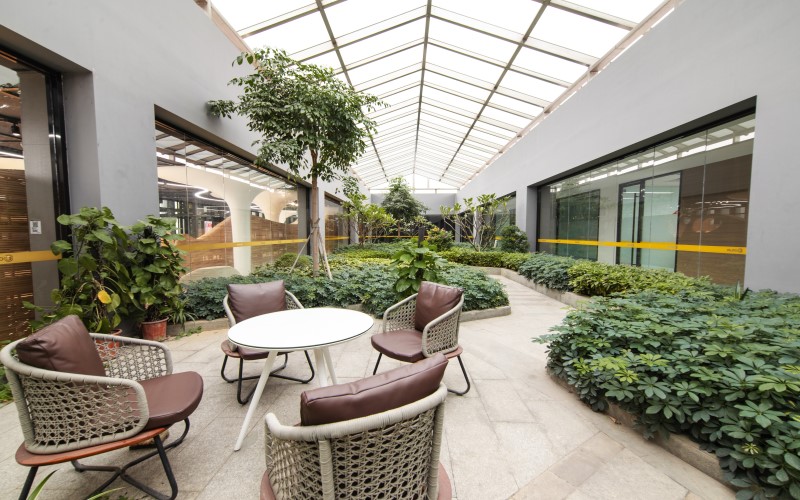 ��ʨ����ᡤ�������-����Ժ�