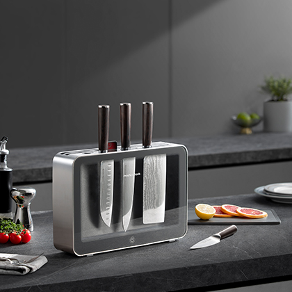 ��ʨ����ᡤ�������-����Ժ�